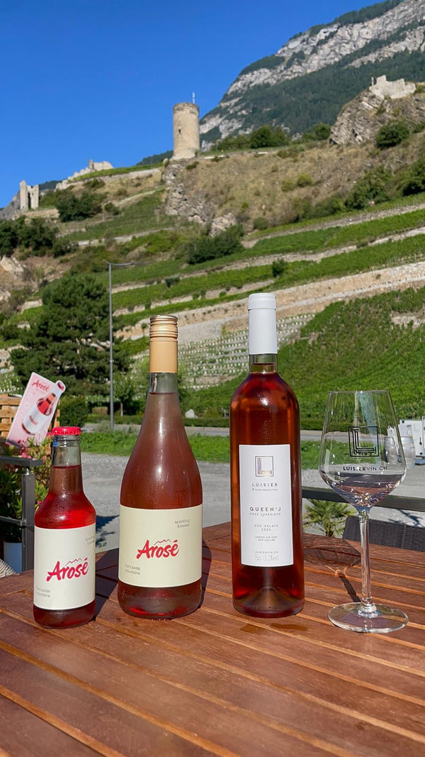 🍷 Œnothèque & Lounge à Saillon – Famille Luisier SA